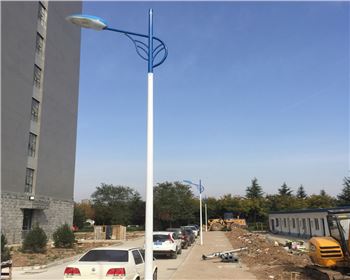 市電路燈-陜西省西安市西北大學(xué)長安校區(qū)路燈工程 市電路燈-陜西省西安市西北大學(xué)長安校區(qū)路燈工程