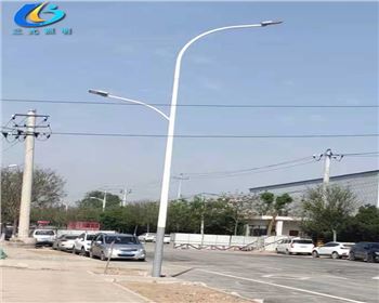 陜西西安市政10米雙臂市電路燈項(xiàng)目 陜西西安市政10米雙臂市電路燈項(xiàng)目